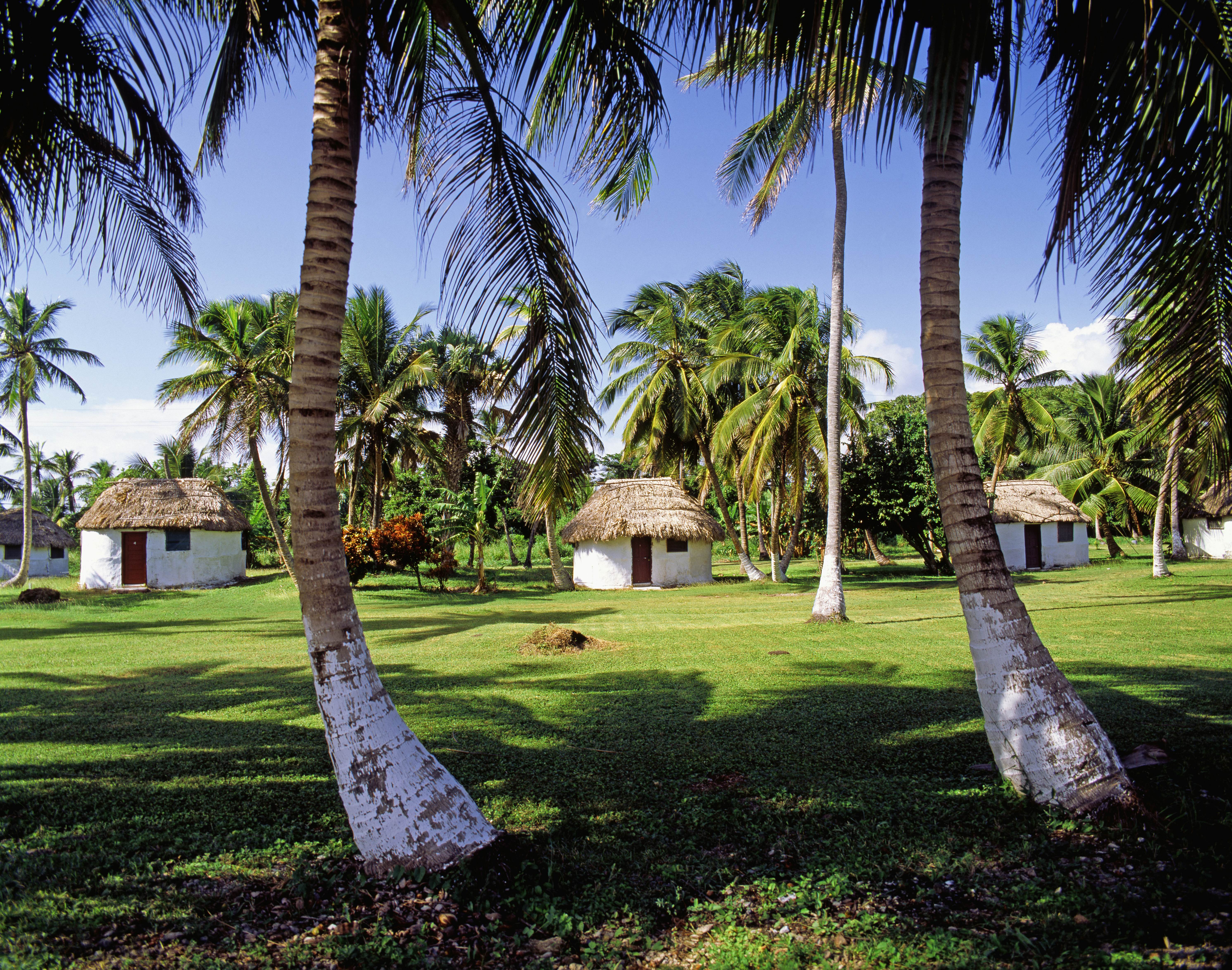Palm trees and huts in Corozal District 